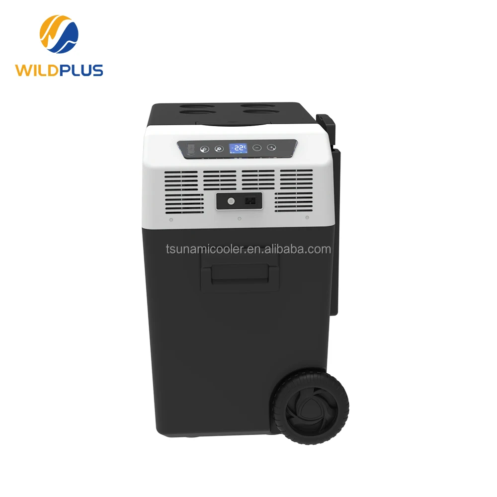 50L 12V 24V Car Fridge Caravan Camping Car Freezer Portable Refrigerator with CE