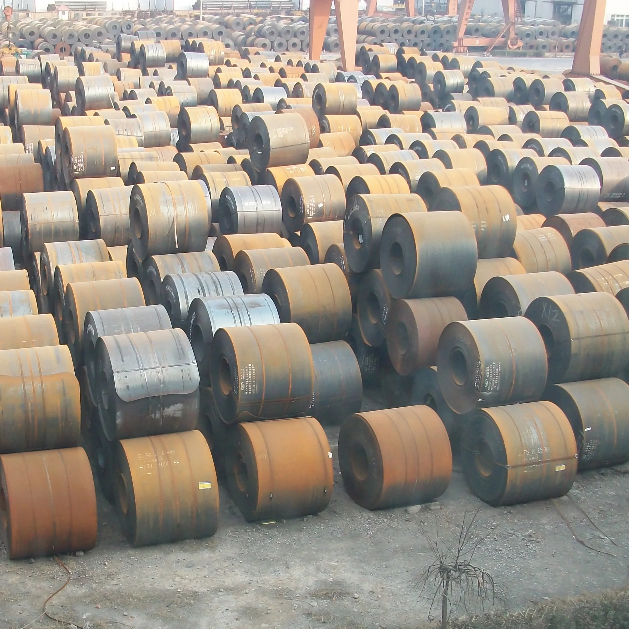 Carbon Steel Coil Hot Rolled Construction Steel Coil MS Low Carbon Marine Steel Coil Custom Size