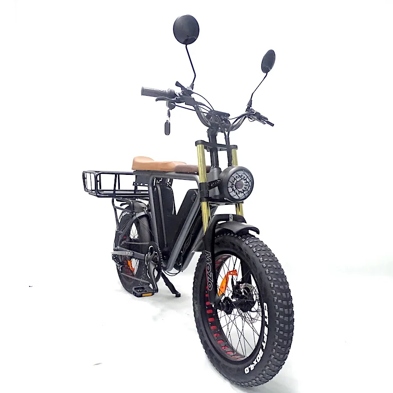 20 inch fat tire bike electric food delivery 1000v 48v 22ah dual lithium batteries cargo ebike  electric cargo bike