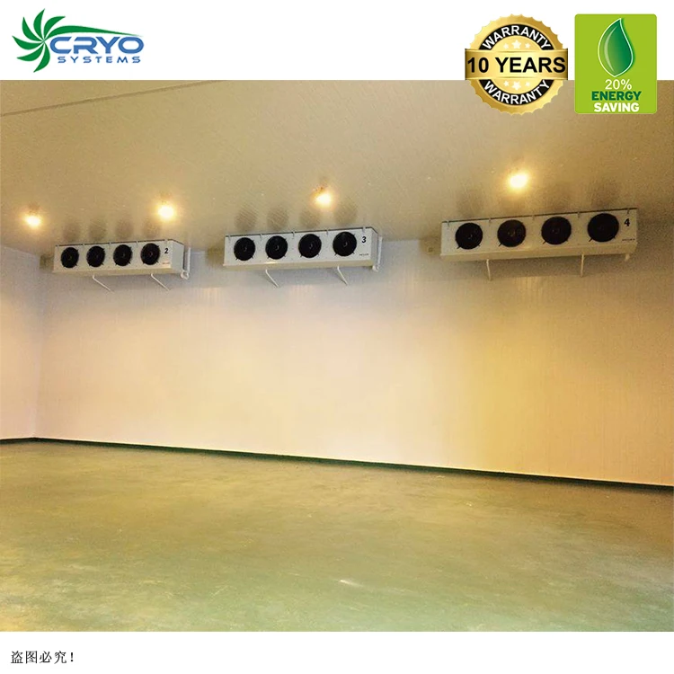 chicken paw grado a beef lungs cold storage warehouse miami  small cold room chamber cold