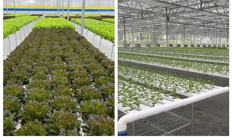 Aeroponic Hydroponic System For Greenhouse Indoor Hydroponic Tower Garden Hydroponic Growing System Vertical