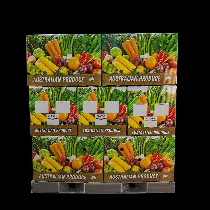 Vegetable Boxes 62L Customized Fruit /Vegetable Packaging Corrugated Plastic Box Corrugated Storage PP Packing Boxes