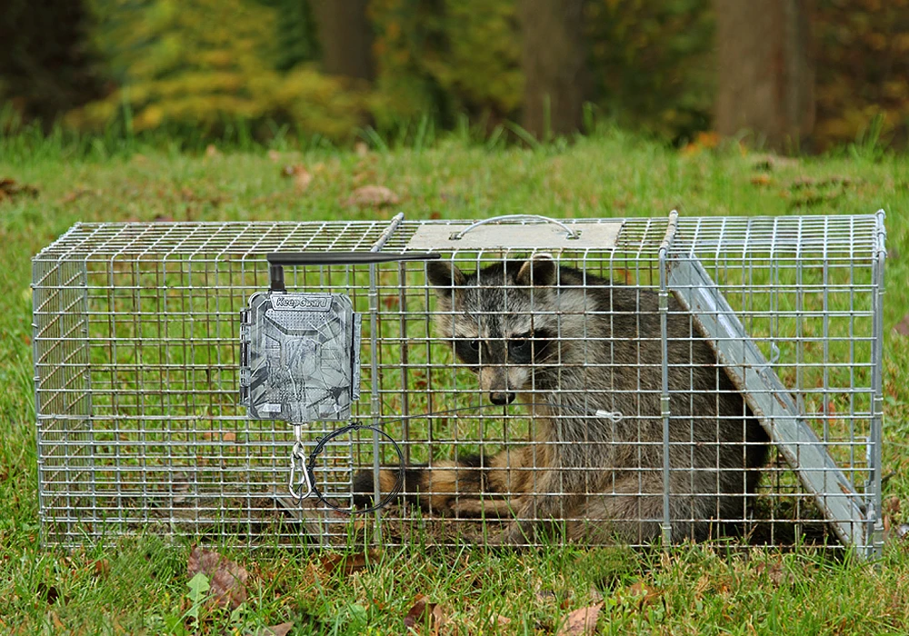 Wildlife 2G SMS Wildlife Hunting Wireless Trap Alarm Support 1 to 5 Mobile Numbers Remote - Alert Trap Alarm