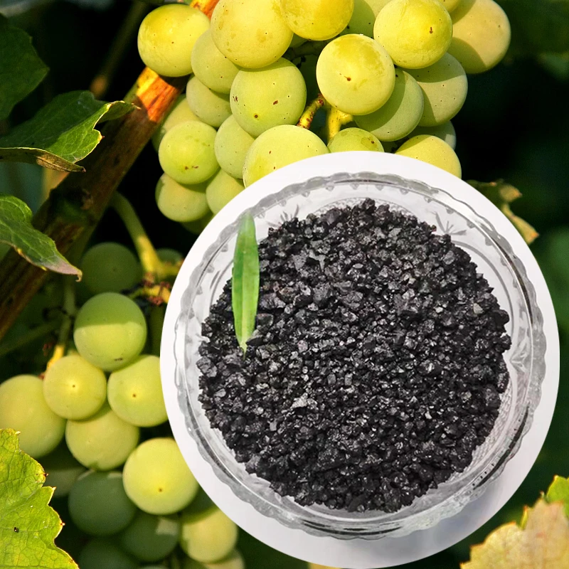 organic fertilizer Potassium Humate Granule Promote urea absorption Compound organic fertilizer