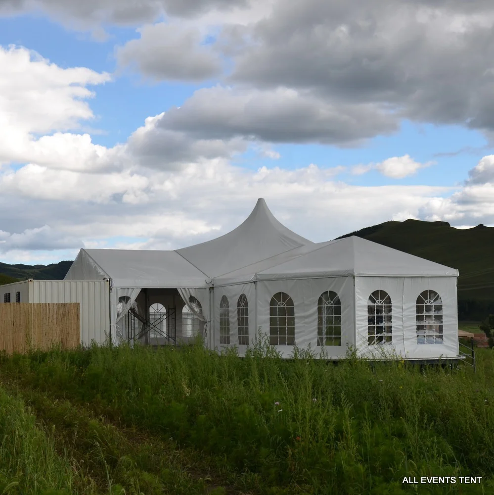 Hot sale New Design Wedding Party Tent