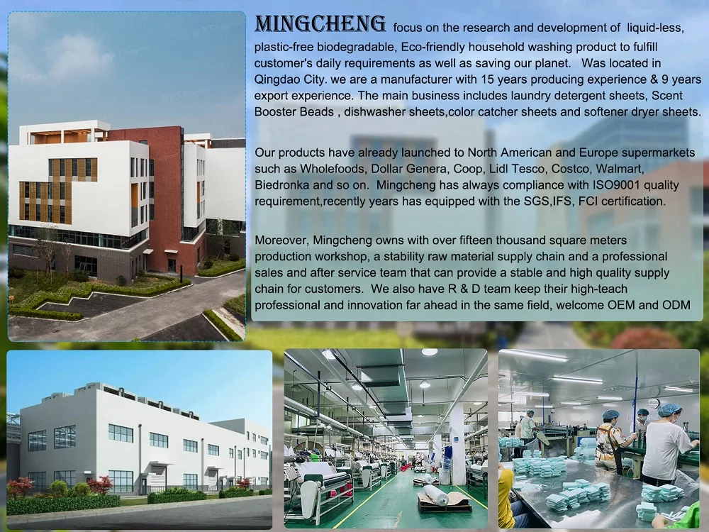 Professional OEM ODM Kitchen Cleaning Dishwasher Detergent Sheet Dish Washing Tablets Sheets dishwashing sheets