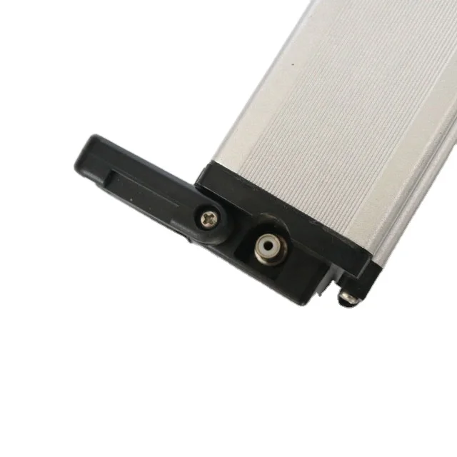 Powerful Li Ion Battery Pack 24v 36v 10ah 12ah 20ah Rechargeable Electric Bike Battery Silver Fish