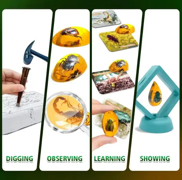 Bug Amber Archaeological Dig Kit Science STEM Insect Resin Fossil Excavation Insect Specimens Educational Toy  For Kid