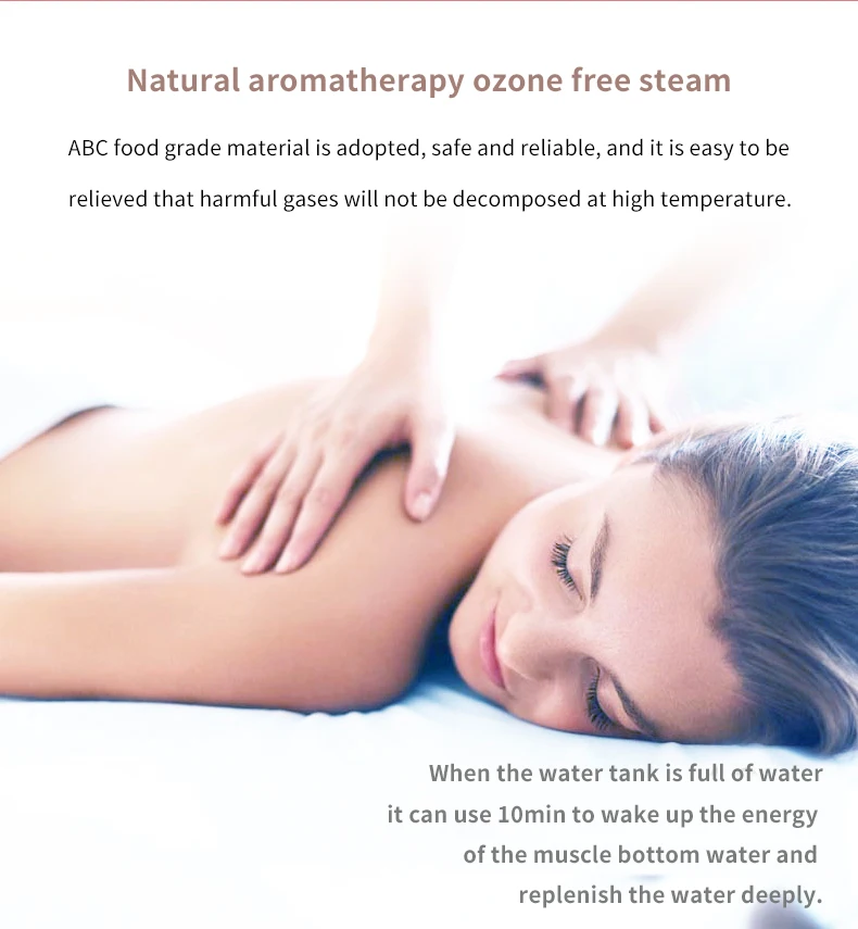 One-button Operation Compact And Light Custom Cheap Steam Face Facial Steamer