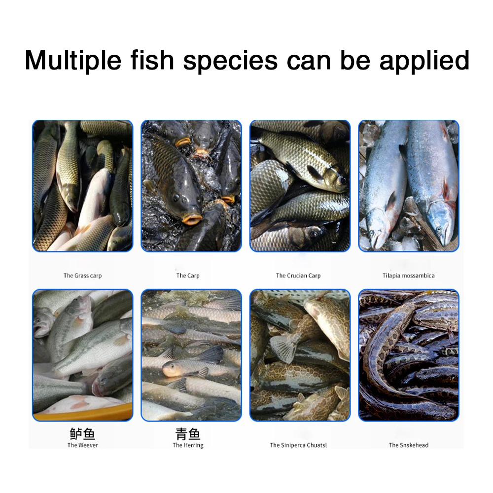 Commercial teleportation fish killing open back convenient and fast