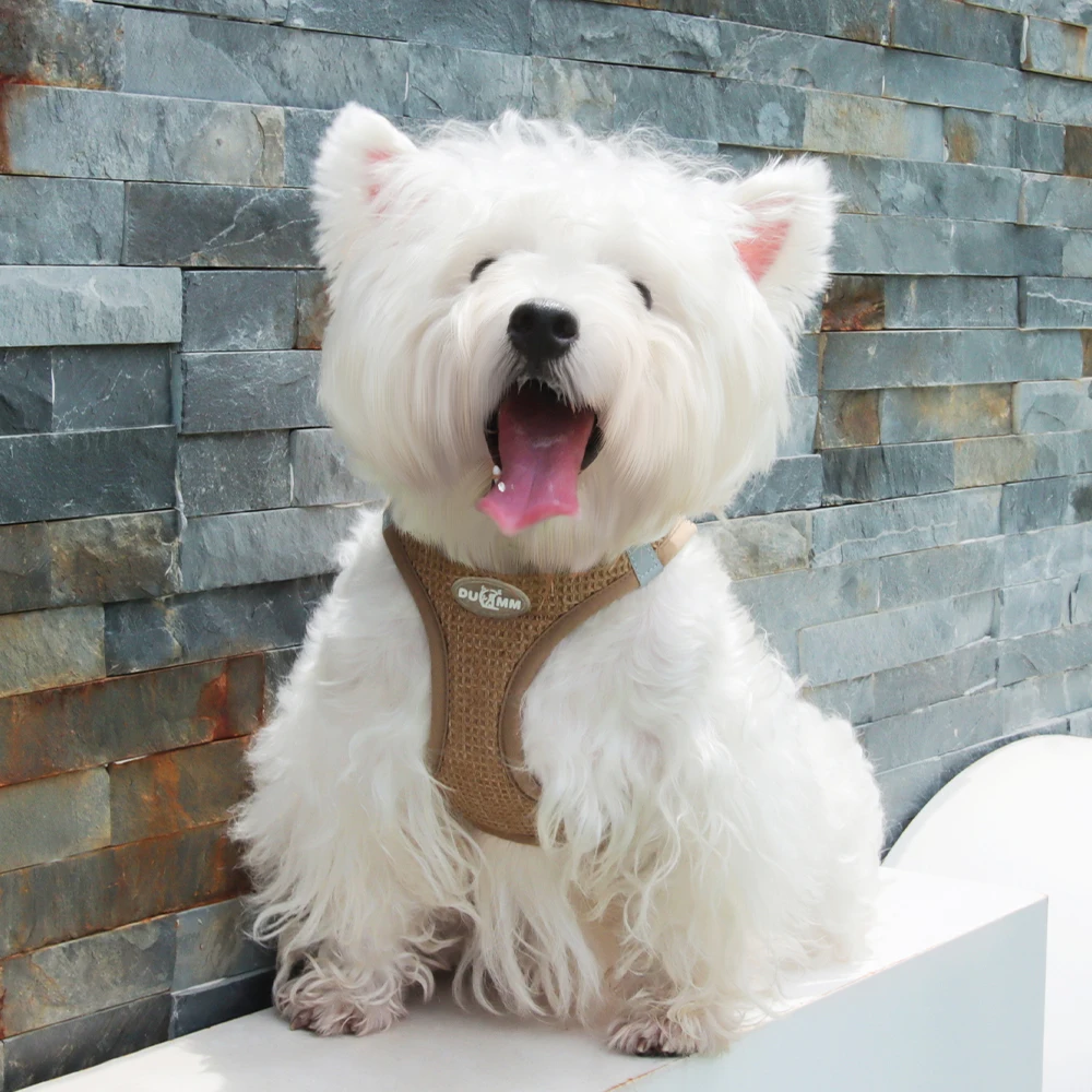 Wholesale Waffle Fabric Luxury Lovely Breathable Chest Harness Set for Small Dog