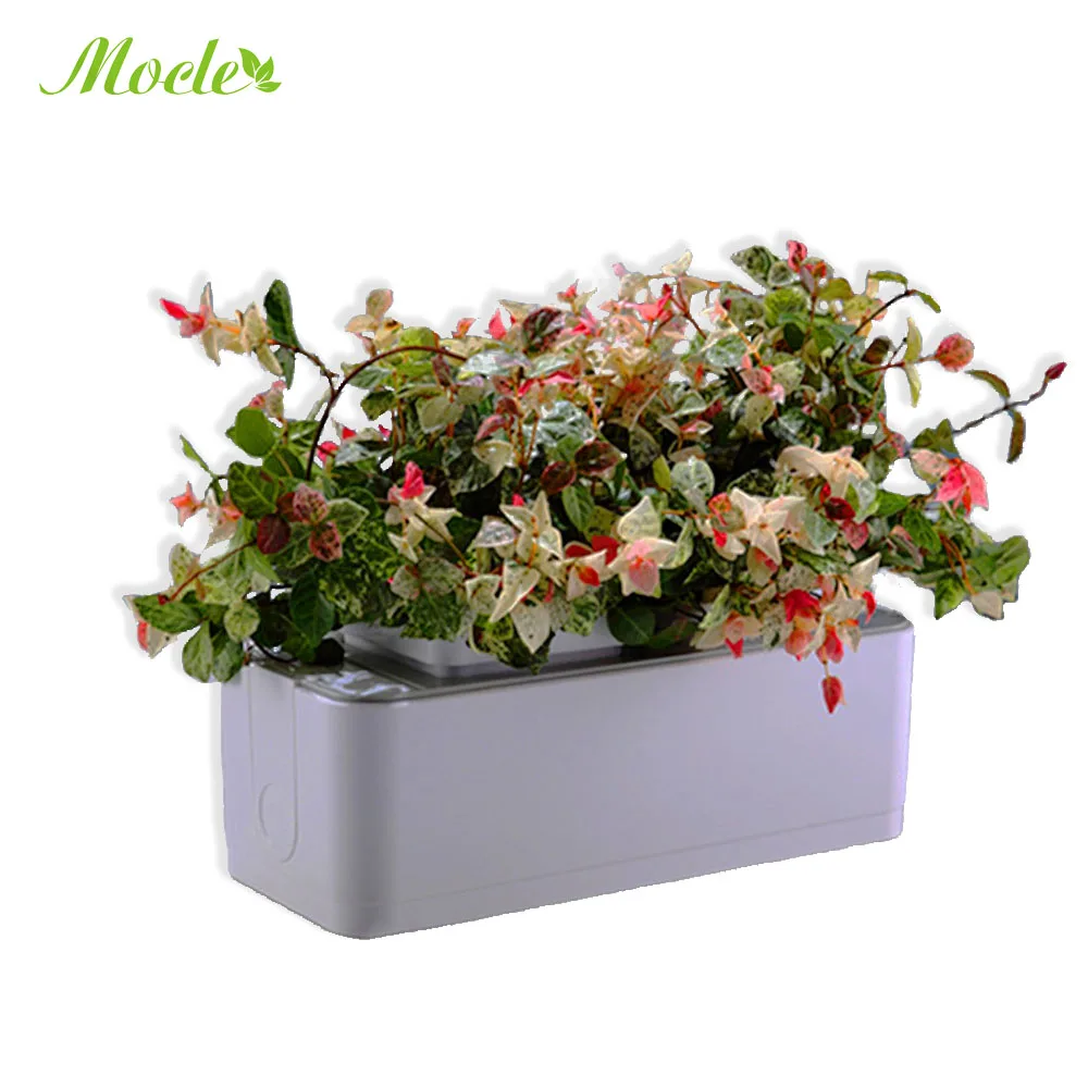 RY New products hydro plant grown smart planter pot small plant watering system