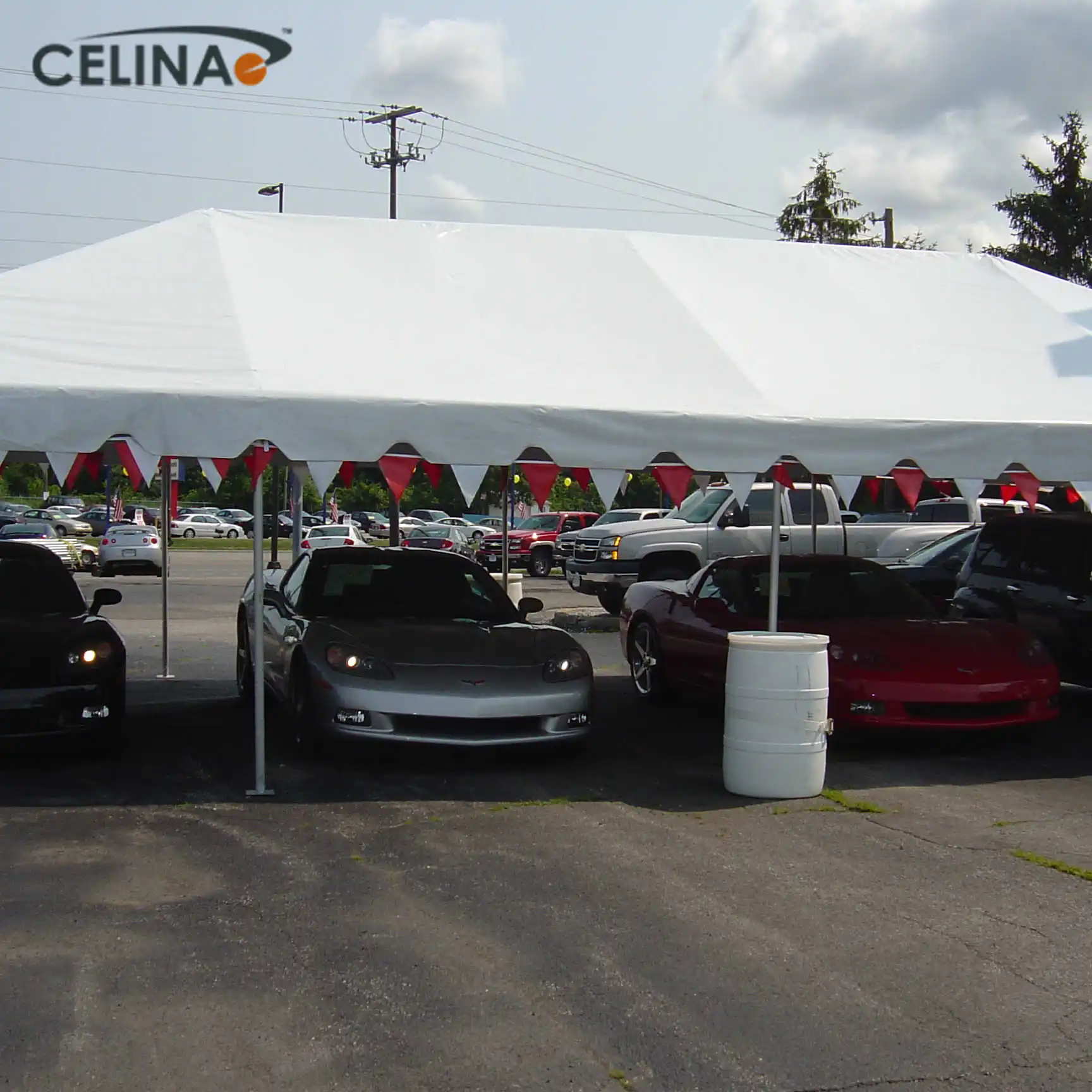 Celina 20ftX40ft(6x12m) Hot Selling Wedding Tent With Low Price