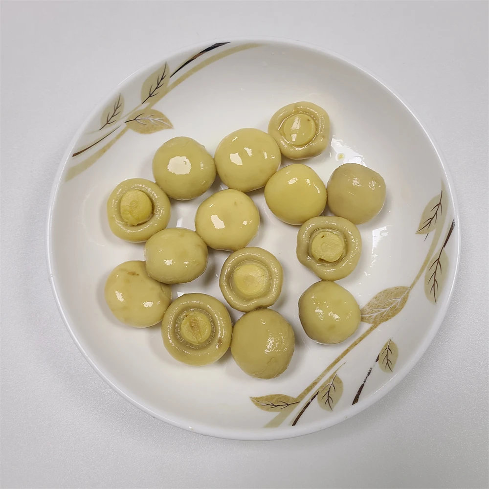 High Quality Canned Whole Mushroom Champignon in Conserva