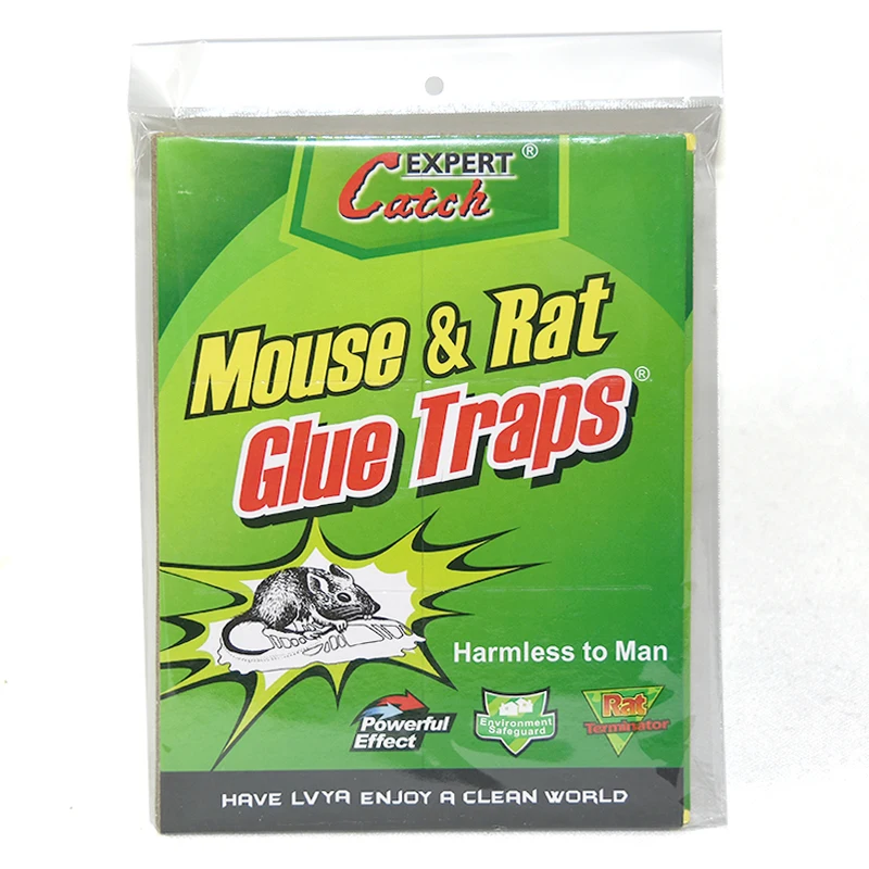 Wholesale Indoor/Outdoor Easy-to-Set Large Mouse Glue Traps Sticky Pest Control Rat Snake Cockroach Office Space US Sheet Size