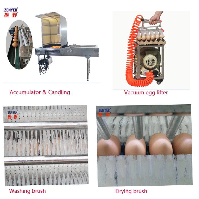 
popular selling industrial egg processing machine electronic egg grader 