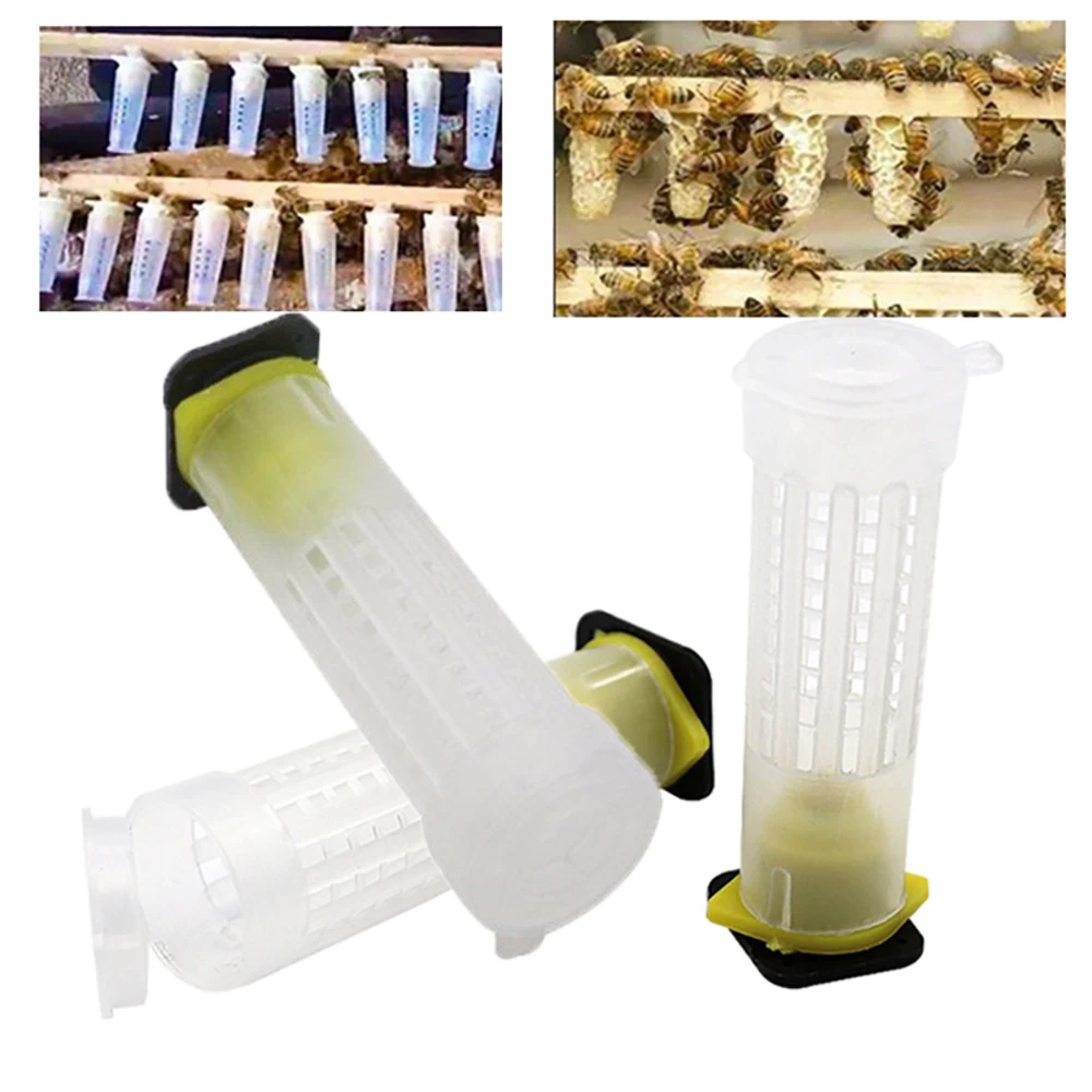CHINABEES 20PCS Queen cage rearing cover catcher queen plastic cells bees box cages bees tool  apiculture equipement protection