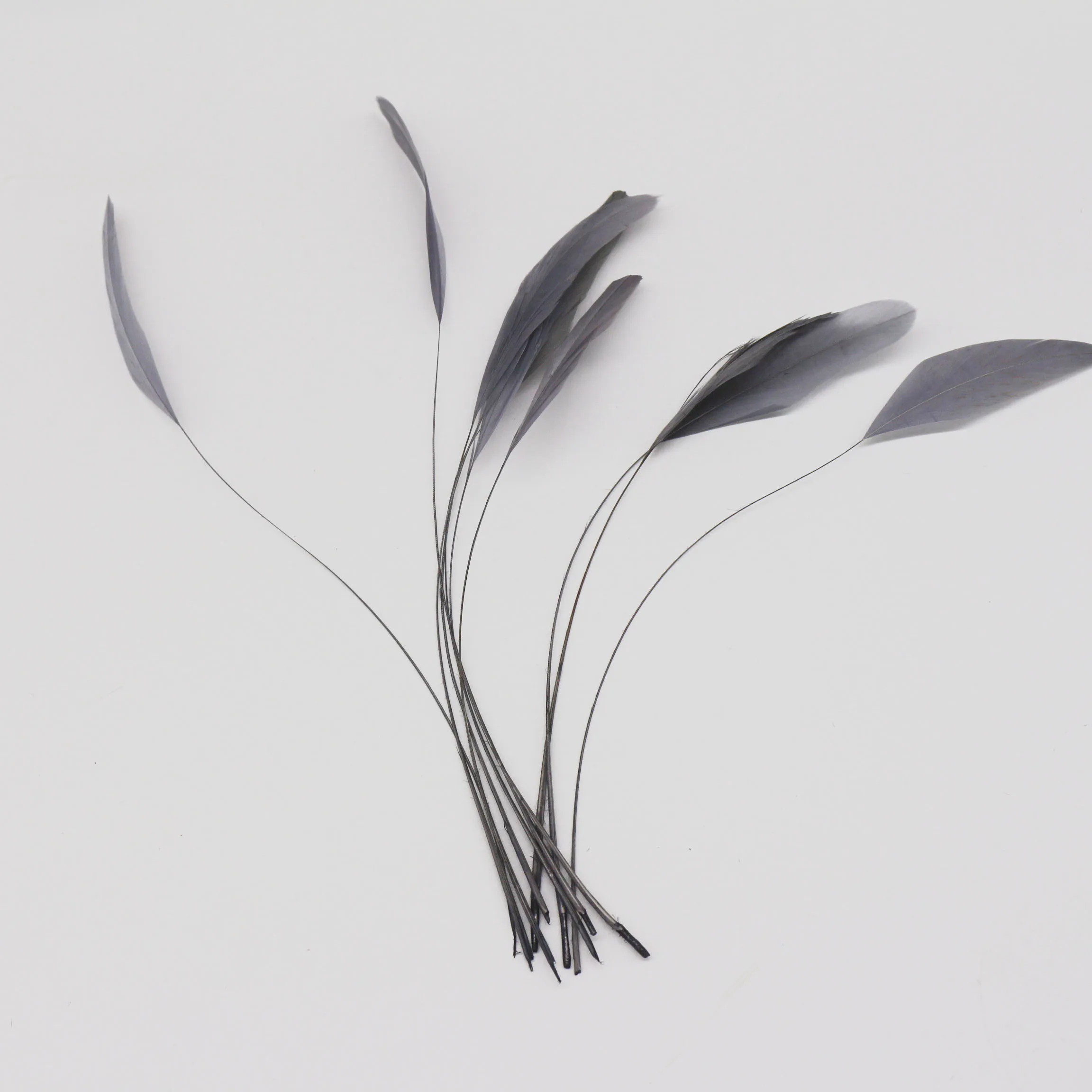 party decoration stripped coque feather