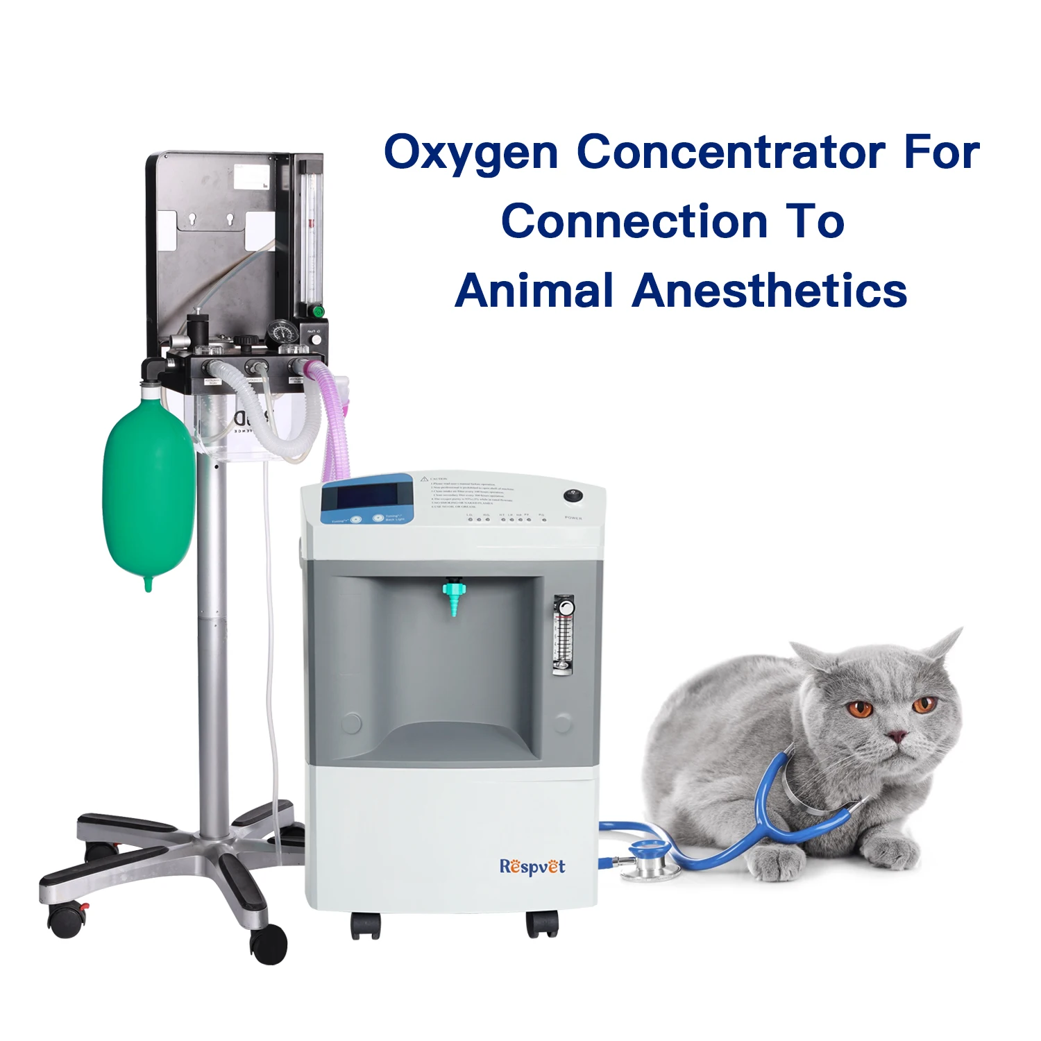 Health Equipment Physical Therapy Jay-10 10 Lpm Veterinary  Vet Oxygen Generator Oxygen Concentrator Use In Pet Clinic Hospital