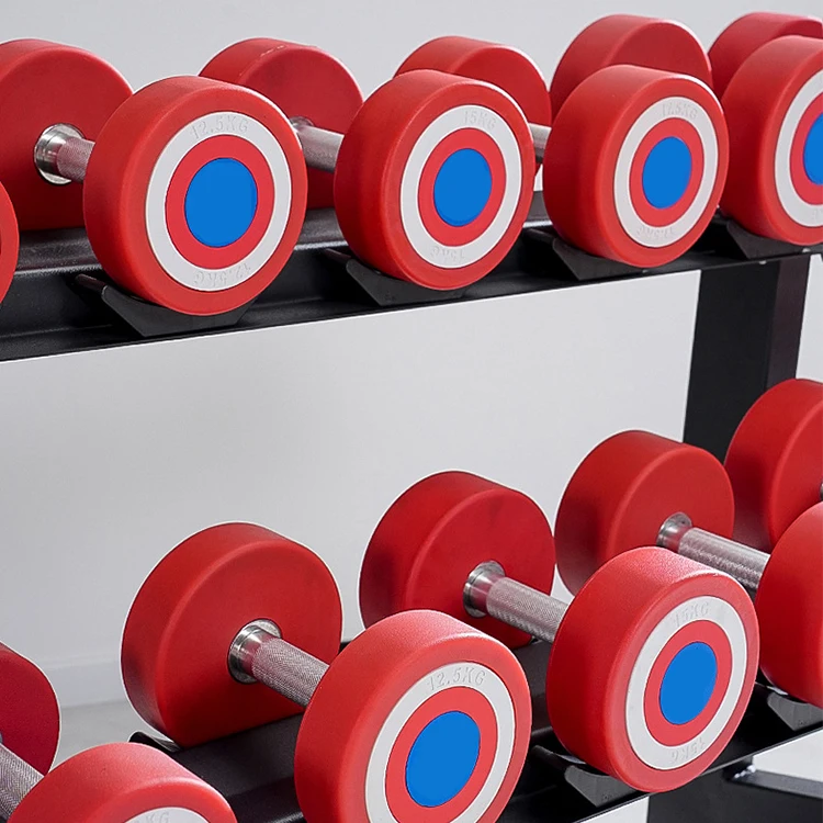 America  Dumbbells Wholesale Pu Rubber Dumbbells 10kg Gym Weightlifting Dumbbells