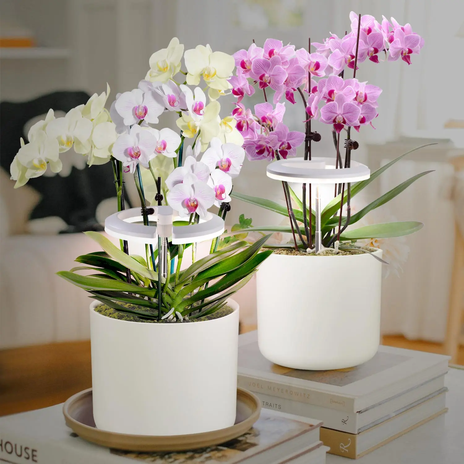 J&C planter mate plant grow light halo small plants complete kit for growing your fresh herbs at home