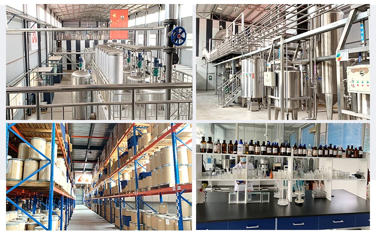 Health Care Omega-3 Fish Oil TG EE RTG Fish Oil Capsules