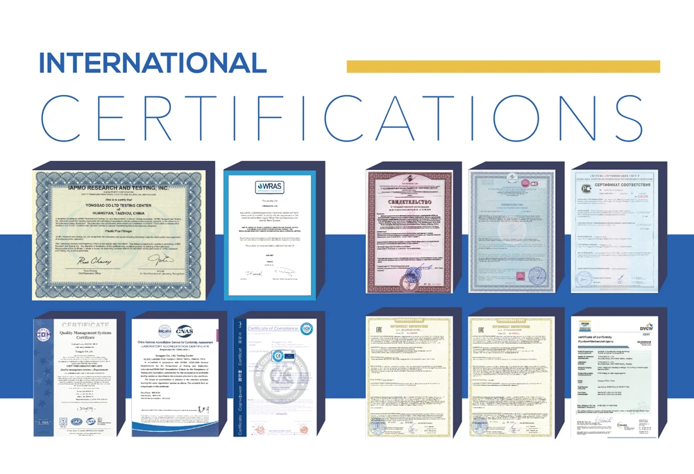 ERA Brand PVC Pipes and Fittings For Floor Drainage Custom high quality Drainage NON-Return valve