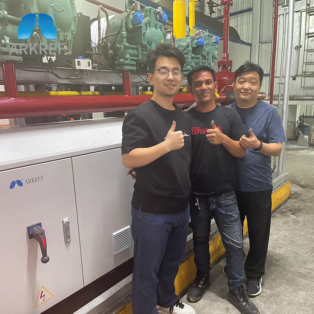 ARKREF CE Certification Commercial Bitzer Compressor Refrigeration Condensing Unit For Cold Room