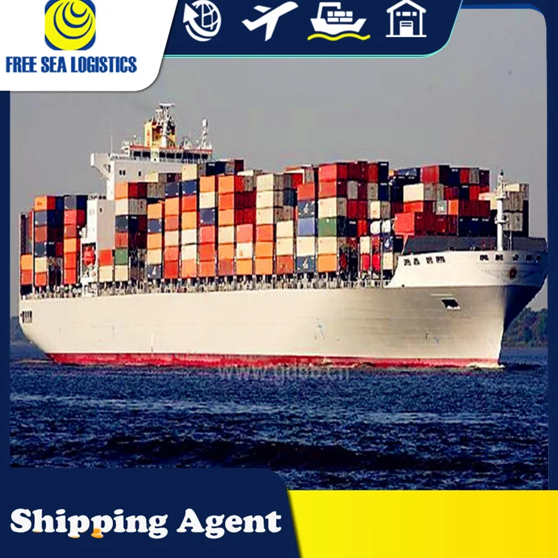 from China import export custom clearing agent provide usa uk canada customs clearance service