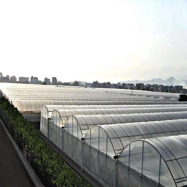 Оборудование для разведения животных, тепличная пластиковая пленка, многопролетная зеленая пленка 0,2 мм, толщина полиэтиленовой пленки 200 микрон, туннель с полипропиленовым покрытием