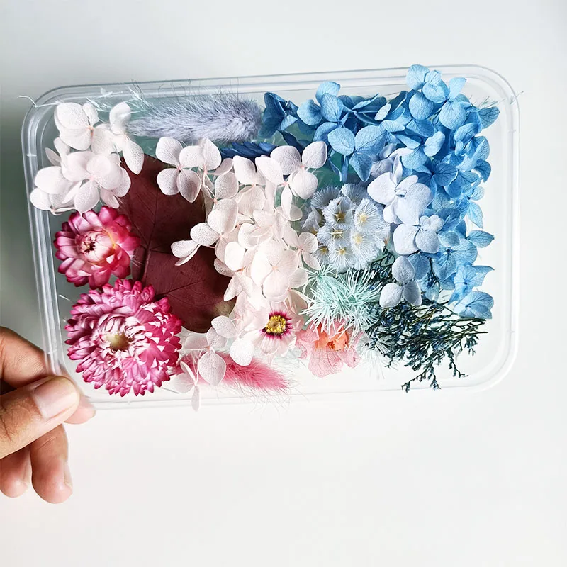 
Wholesale Cheap DIY High Quality Natural Dried Pressed Flower Mix for Handicraft Nail Decoration 