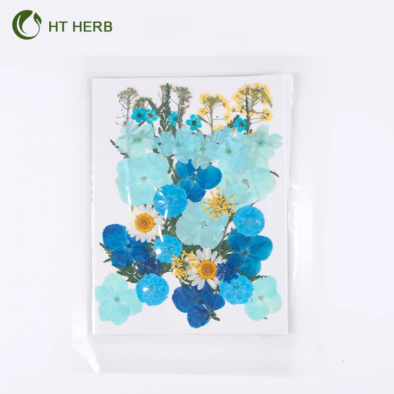 Hot Selling Dried Flowers Resin Jewelry Dry Flowers Plants Dried Pressed Flowers Natural for Resin Candle Material