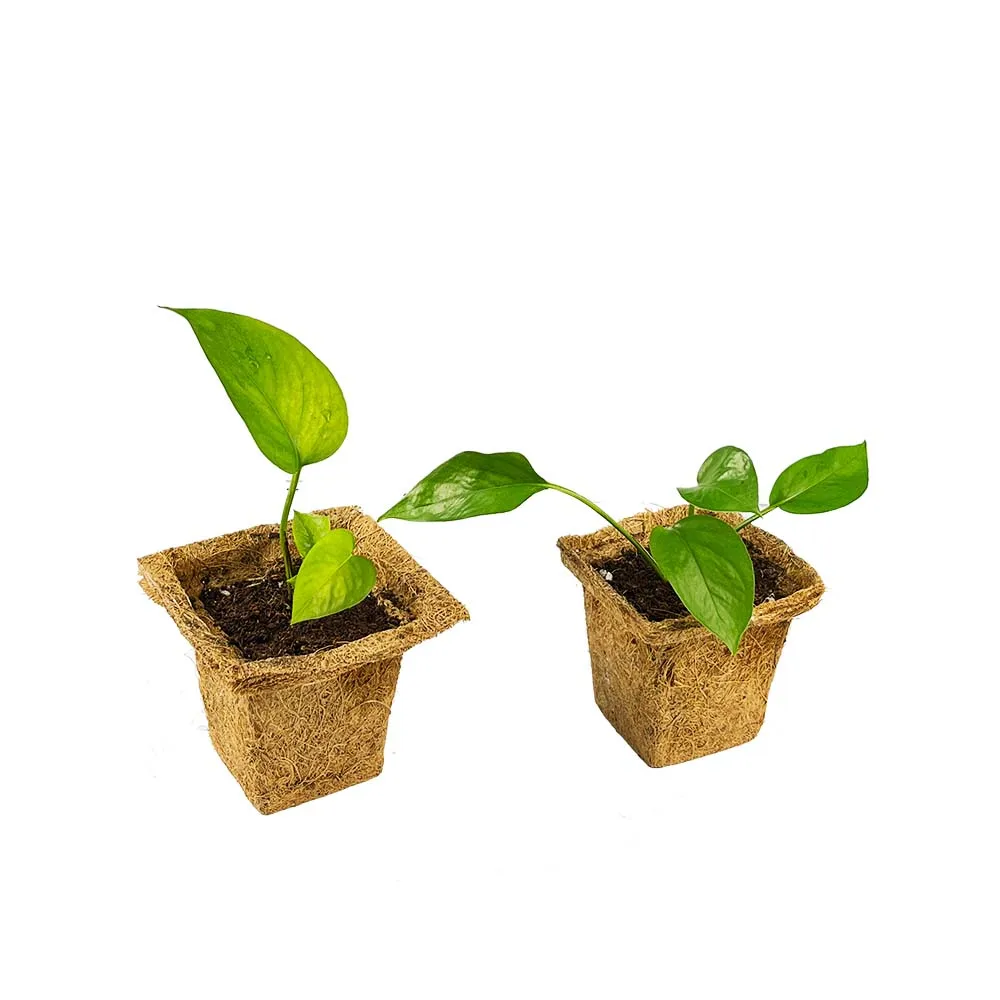 CHEAPEST PRICE ORGANIC 100% ECO-FRIENDLY COCONUT FIBER POT/BIODEGRADABLE COCONUT COIR POT