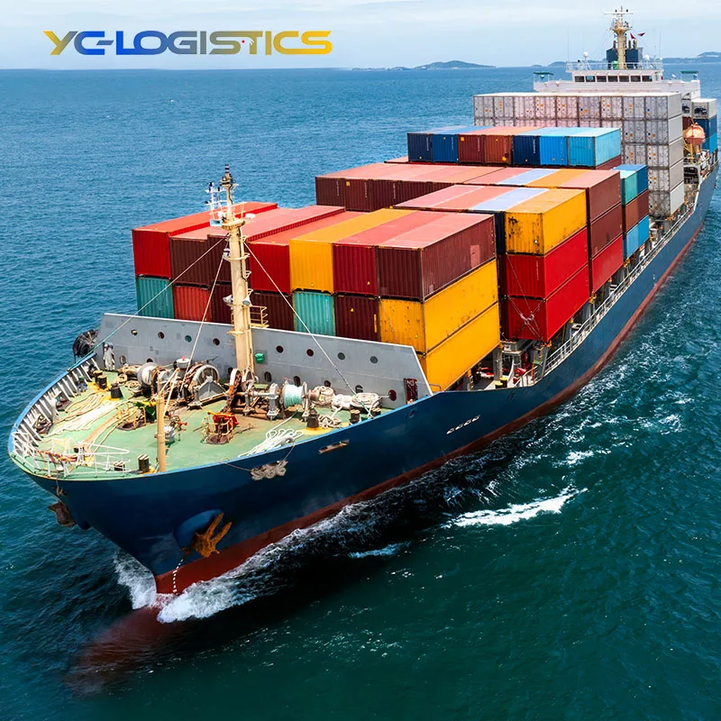 Traditional shipping professional Full container shipping Sea shipping service port to port from China to Barcelona