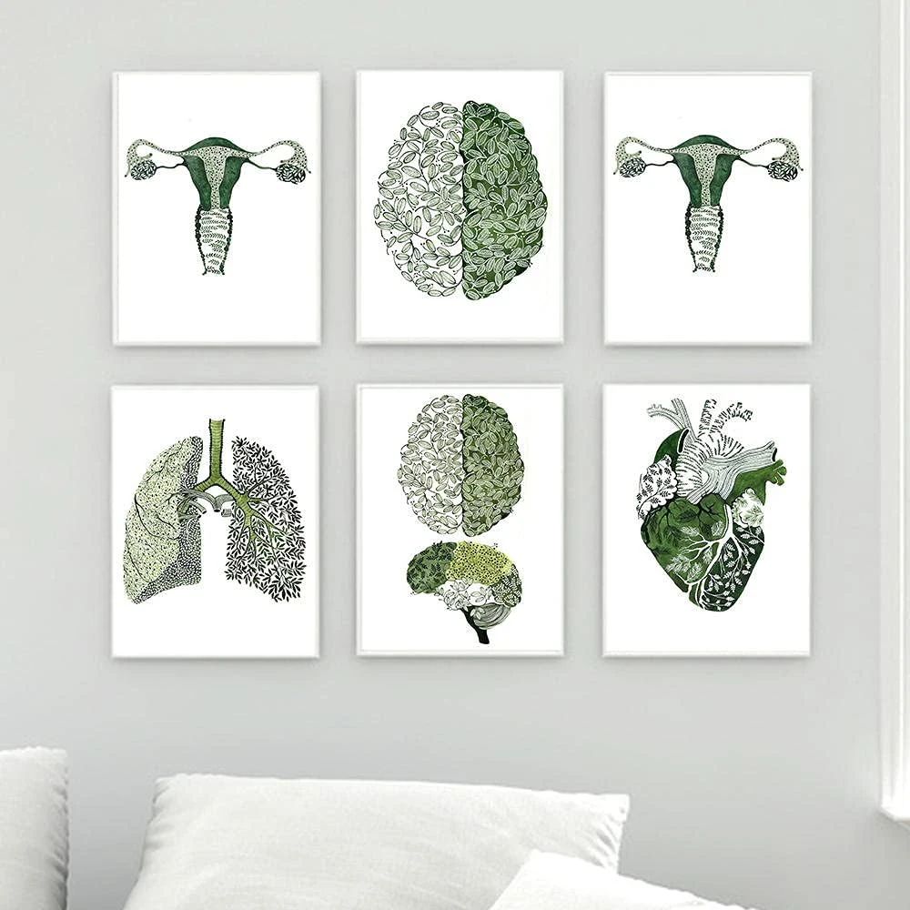 Green Abstract Medicine Anatomy Heart Lung Eye Nordic Posters And Prints Wall Art Canvas Painting Pictures For Clinic Decor