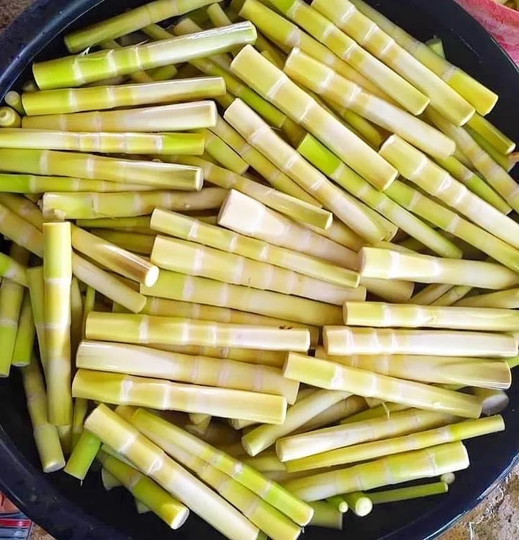 Boiled Bamboo Shoot 500 G from Thailand Ready to Eat with Your Meal Recommended Product