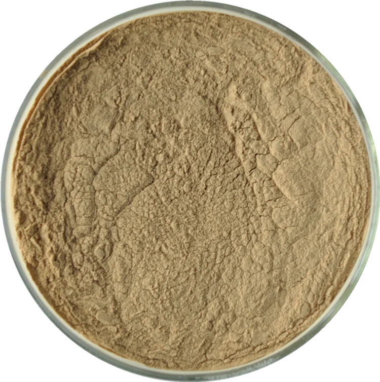 Natural high-quality Hot Sales Poplar camphor extract powder camphor powder Large Supply