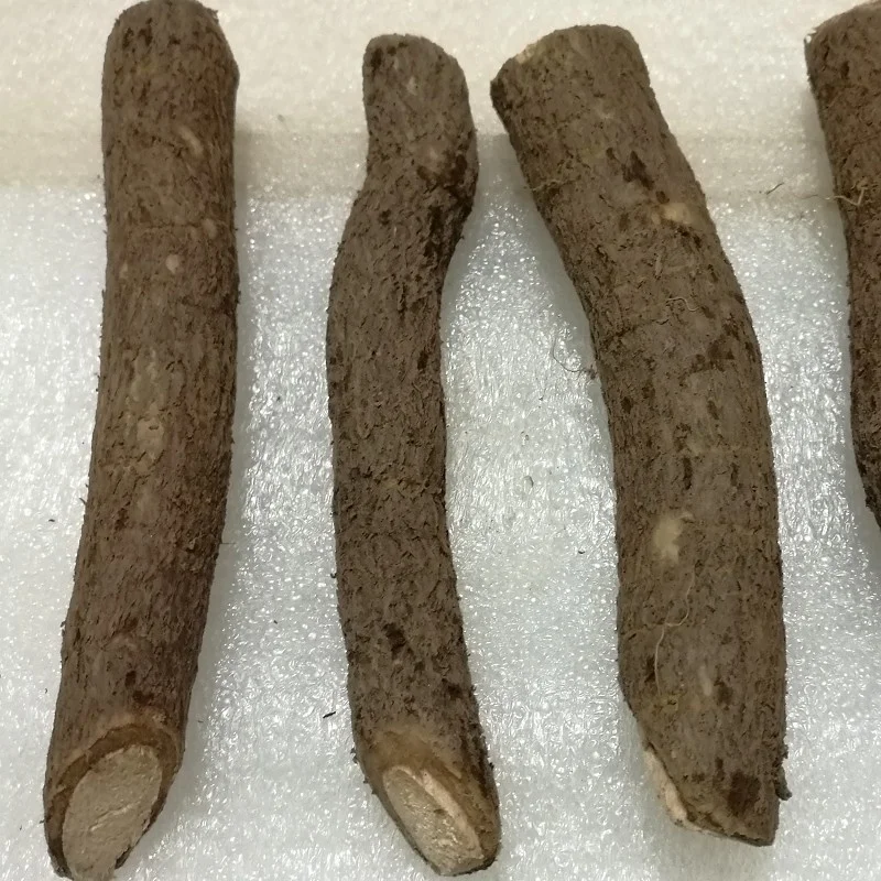 Конические корни на продажу