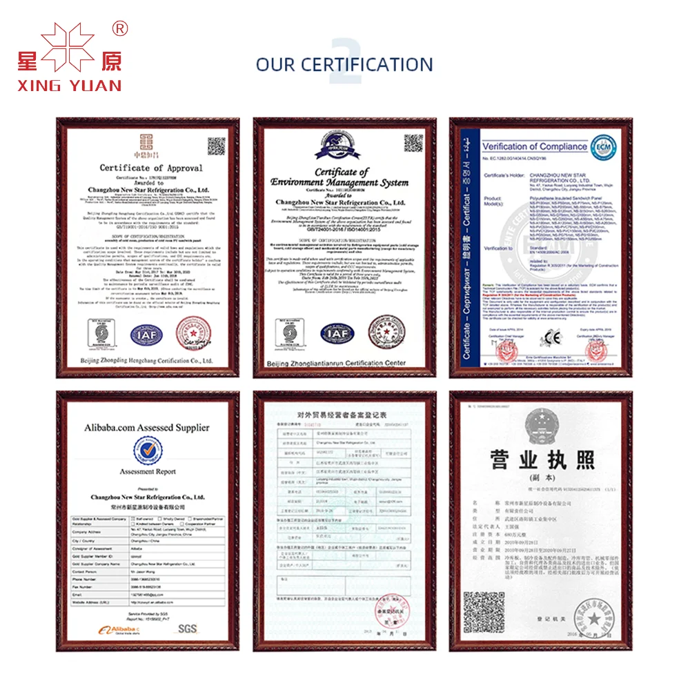 Customized Professional Good Price Of Coolroom Doors, drive in cooler sliding door