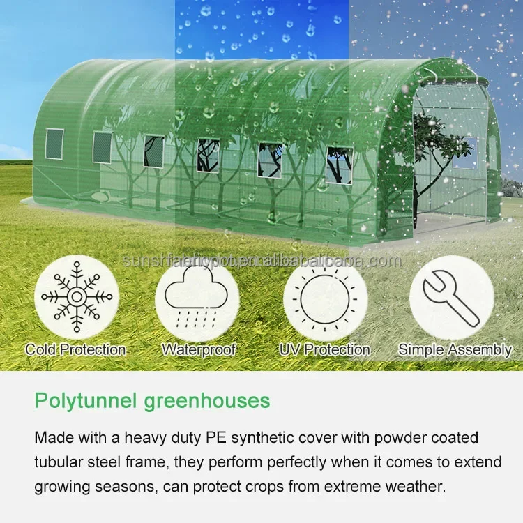 4x2.5x2 Dia19 Wholesale price supplier portable indoor greenhouse garden mini small greenhouses