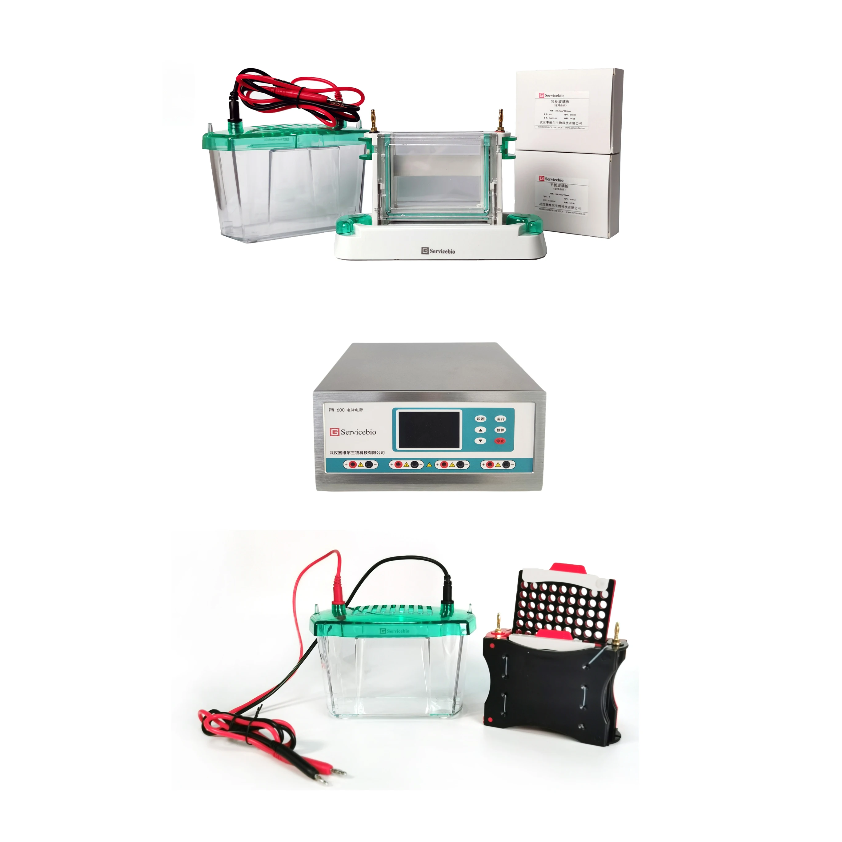 Vertical Gel Electrophoresis System Machine  Agarose Horizontal Gel Electrophoresis Apparatus