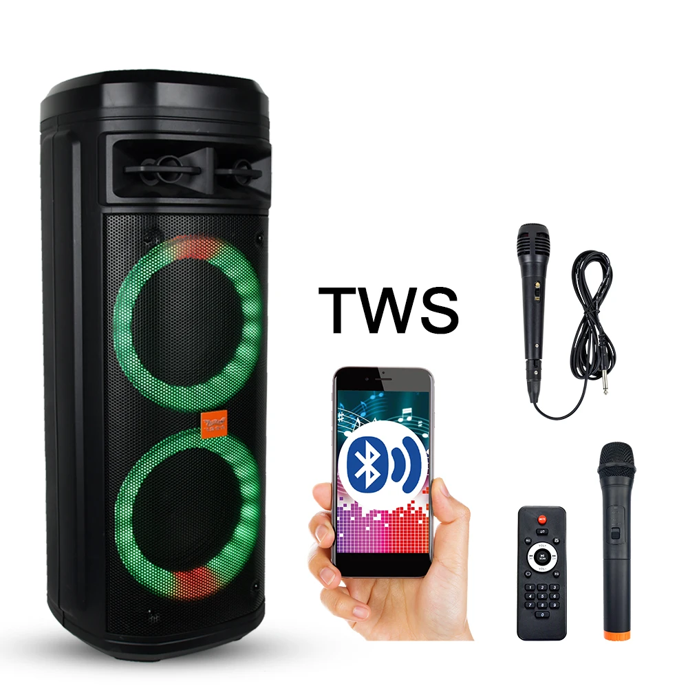 Feiyang двойной 6 5 дюймов портативный TWS bluetooth партия pa система Динамик с fm-радио беспроводной микрофон FG206-06