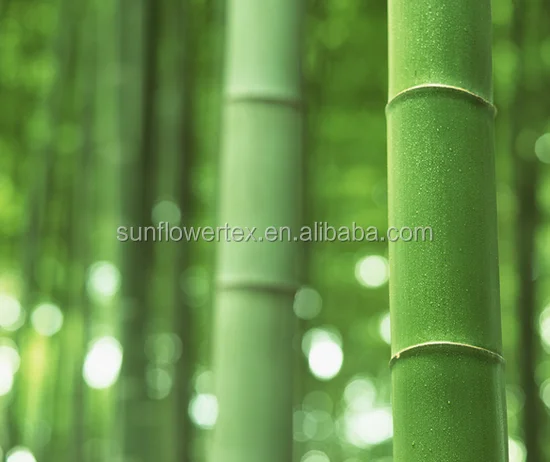 
soft 300tc 6pc organic 100% bamboo bed sheet bedroom sheet set 