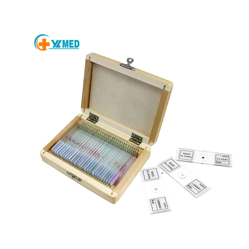 Education Medical Science Natural 30pcs Set Botany Microscope Prepared Slides Set for Teaching and Learning