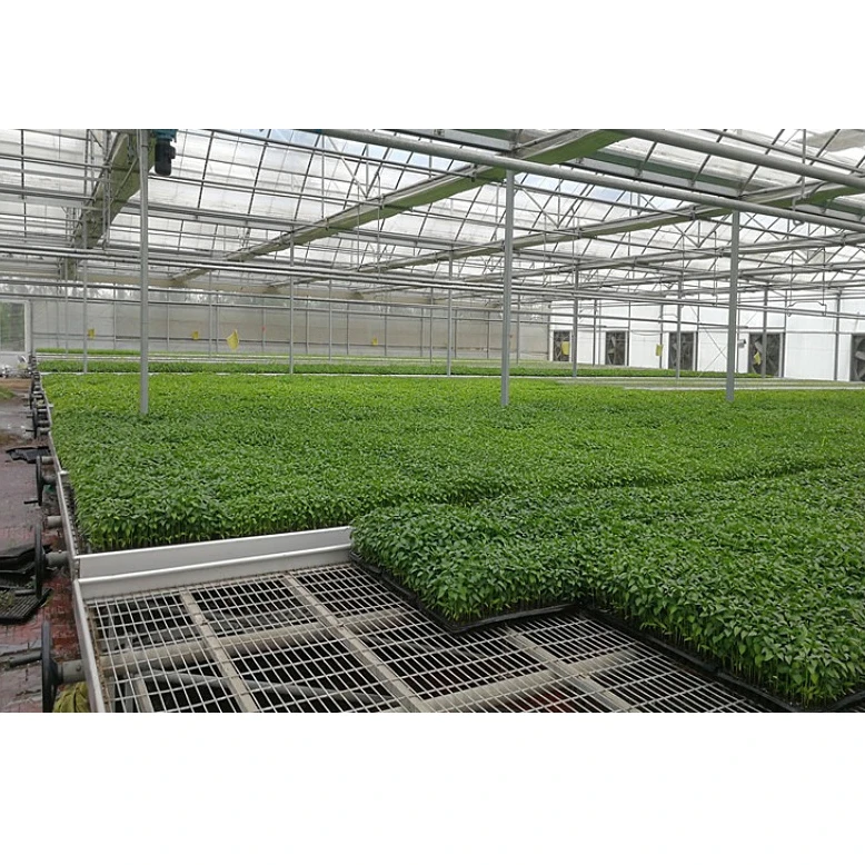 Wholesale greenhouse Rolling benches Durable equipment Seeding Nursery Bed for movable seedling nursery bed