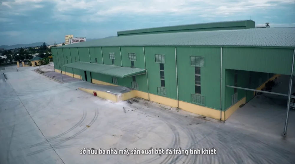 High quality Caco3 from Viet Nam calcium carbonate in plastics nano calcium carbonate carbonate de calcium