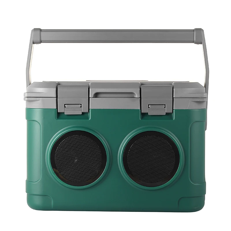 Stay Cool :21L Mini Cooler Bag box with Integrated Bluetooth Speaker System