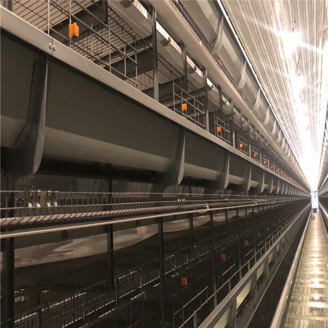 2020 китайская ферма поставка полностью автоматической кладки куриных/яичных батарей типа H система клетки для кур