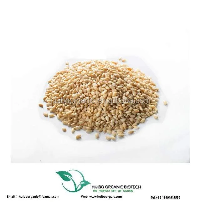 organic white sesame seed wholesale