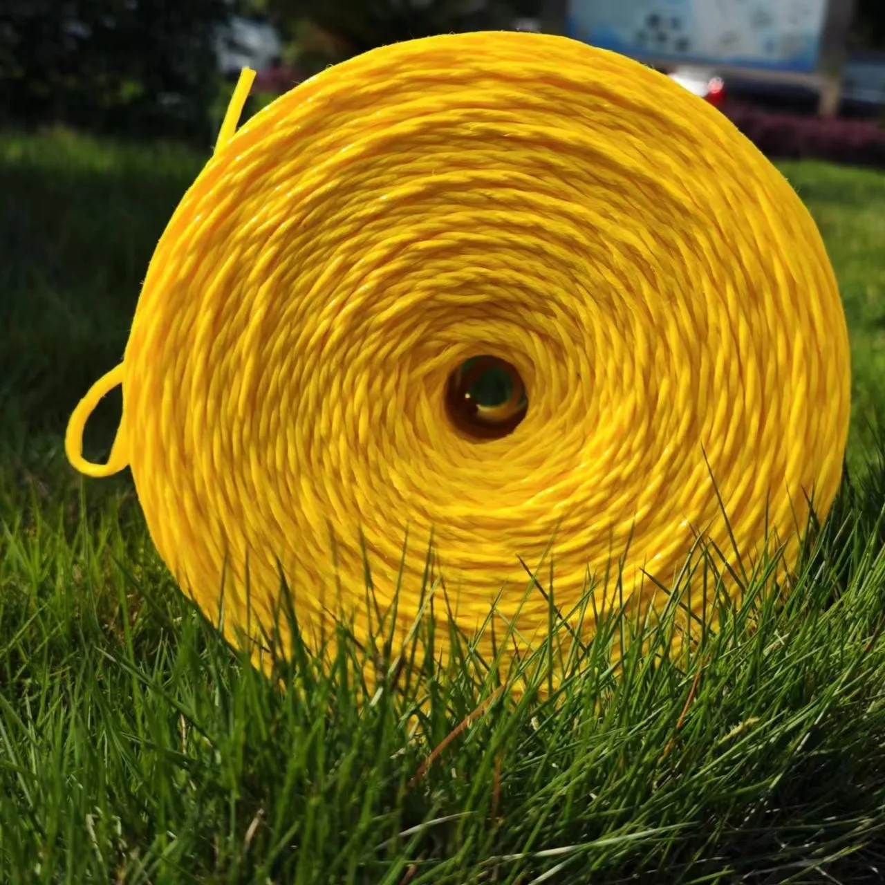 Garden Cucumber Twine for Crawling Plastic Plant Support Climbing